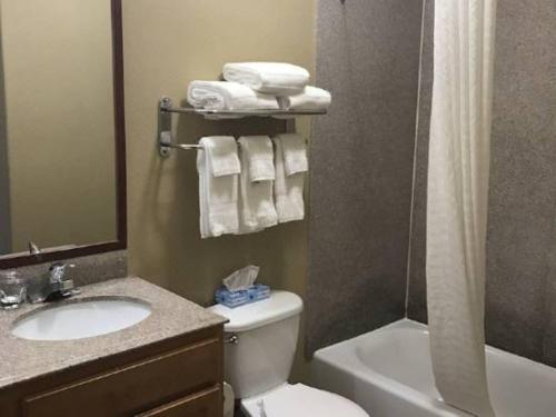La salle de bains est pourvue de toilettes, d'un lavabo et d'une douche. dans l'établissement Candlewood Suites La Porte, an IHG Hotel, à La Porte