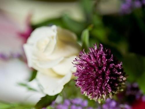 a purple and white flower with a white rose at The Old Manor House B & B in Brasted