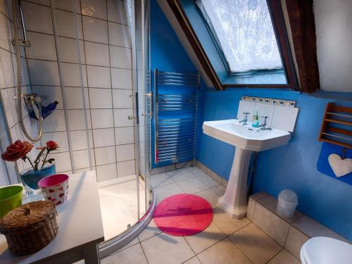 a bathroom with a sink and a shower at The Old Manor House B & B in Brasted