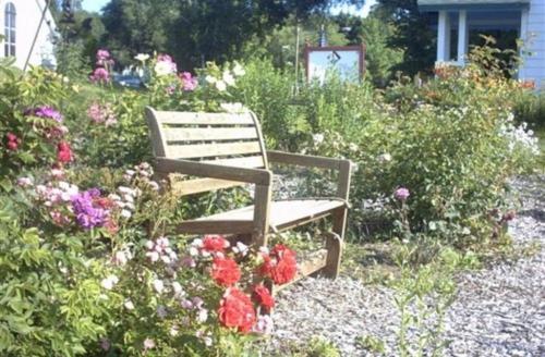 um banco de madeira sentado num jardim com flores em Lucy's Place em Bayfield