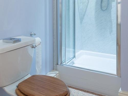 a bathroom with a shower and a toilet with a wooden seat at Marshwood Farm B&B and Shepherds Hut in Dinton