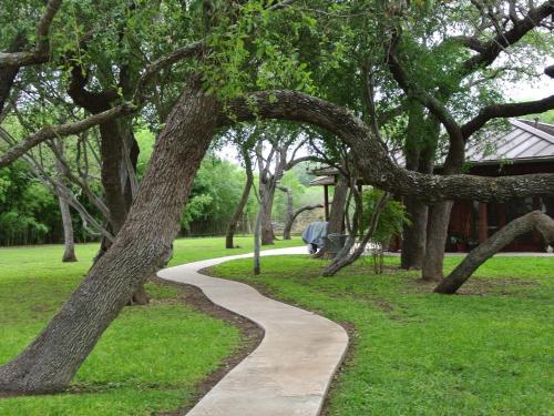 Κήπος έξω από το Live Oaks Bed and Breakfast