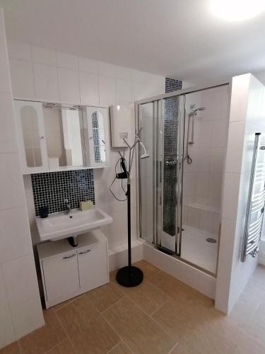 a bathroom with a shower and a sink at Ferienwohnungen Burgfrieden 6 in Cochem