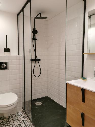 une salle de bain avec une douche avec des toilettes et un lavabo dans l'établissement Gîte 2 chambres avec piscine, à Sernhac