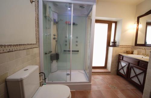 y baño con ducha, aseo y lavamanos. en Villa Villen, en Moclín