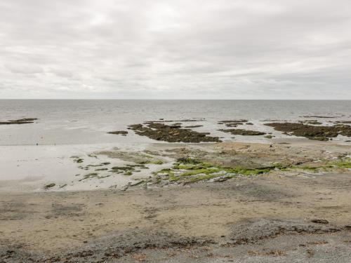 a beach with rocks and algae in the water at The Bolt Hole in Torpoint
