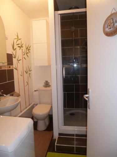W łazience znajduje się toaleta, umywalka i prysznic. w obiekcie Résidence les Capucines w mieście Mont-Dore