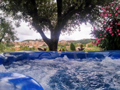 een dompelbad in een tuin met een boom bij Villa Fè -Choose Panoramic View, Jacuzzi, Private Parking in Montepulciano