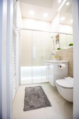 a bathroom with a shower and a toilet and a sink at Theatre Square Apartments in Novi Sad