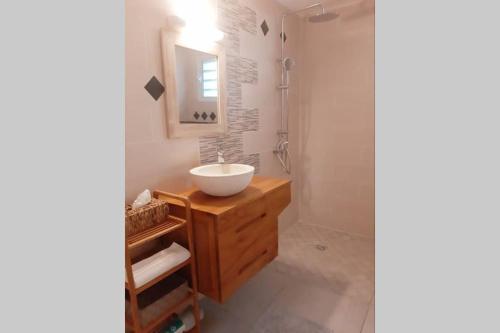 uma casa de banho com um lavatório e um chuveiro em les orchidées em Petit-Bourg