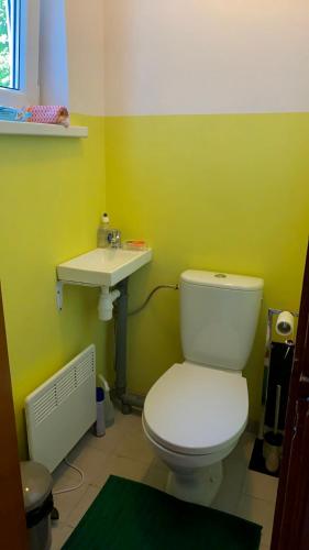 a bathroom with a white toilet and a sink at Bright and cosy place at rustic house in Vecumnieki