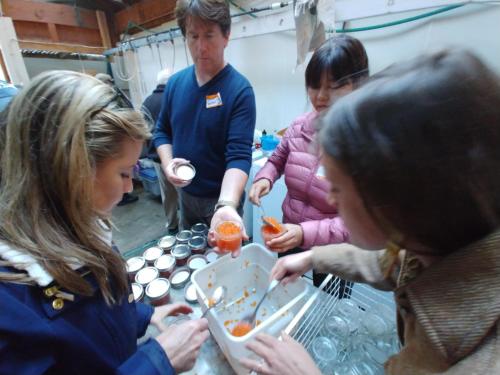 a group of people standing around a table with cupcakes at Nettles Farm in Lummi Island