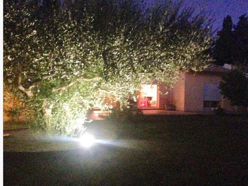 un arbre avec des lumières dans une cour la nuit dans l'établissement La Casa Nert, à Millas