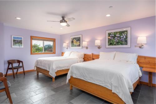 two beds in a room with purple walls at Wildflower Boutique Motel in Point Arena