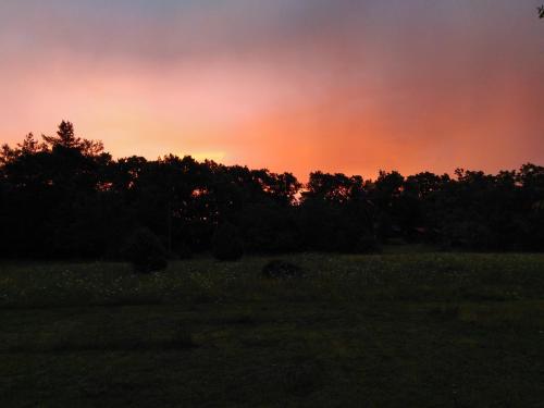 a sunset over a field with trees in the background at Stenslid Bottna By St Anna in Söderköping