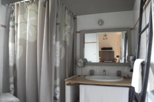 a bathroom with a sink and a mirror at À la Petite Maison in Gap