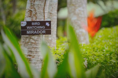 a sign on a tree that reads bird watching mirror at Hotel Cerro Lodge in Tarcoles