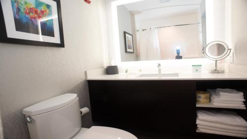 y baño con aseo, lavabo y espejo. en Holiday Inn Hotel & Suites - Joliet Southwest, an IHG Hotel, en Joliet