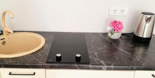 a black counter top with a sink and a laptop at Apartamentai Gastrolės in Palanga