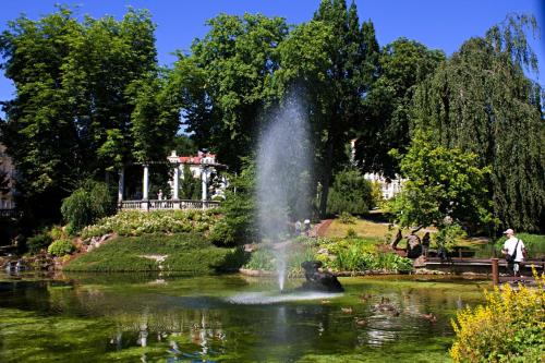 a fountain in the middle of a pond in a park at Villa Shafaly in Mariánské Lázně