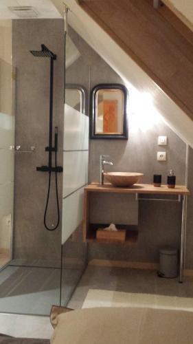 uma casa de banho com um lavatório e um chuveiro com um lavatório. em Notre Rêve - Chambre d'hôtes em Marmoutier