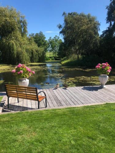 a park bench sitting on a boardwalk next to a pond at De Weideblom in Schermerhorn