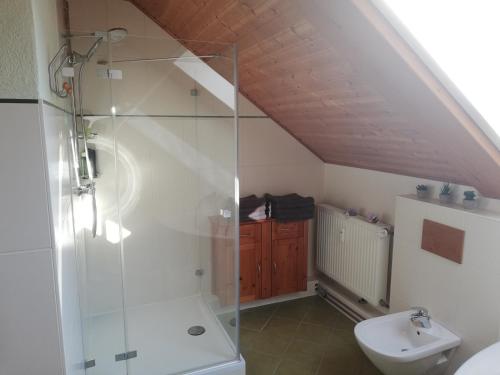a bathroom with a shower and a toilet and a sink at Wohnung Elli in Kumhausen
