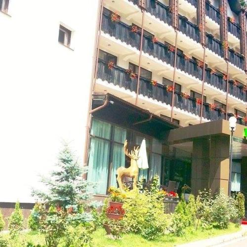 a large building with a statue in front of it at Hotel Hart in Predeal