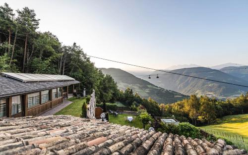 a roof of a house with a view of a mountain at Chalet Grumer Suites&Spa in Soprabolzano