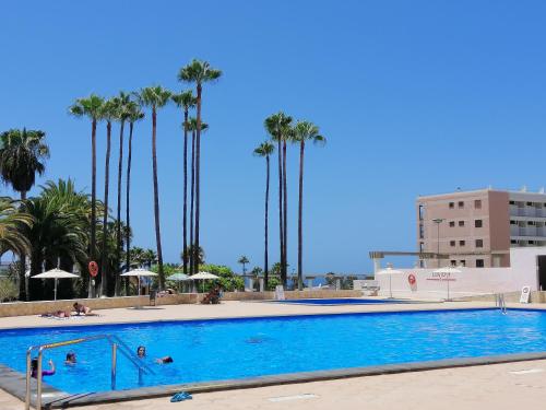 a large swimming pool with palm trees in the background at 1 bedroom playa de la Americas in Playa Fañabe