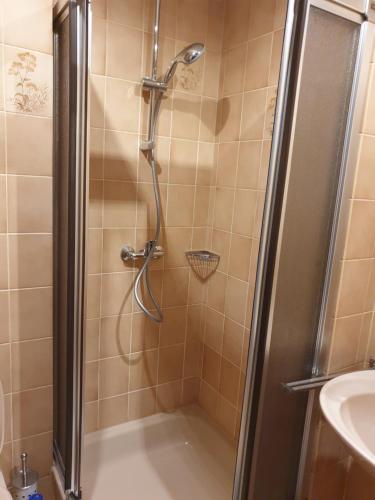 a shower in a bathroom with a sink at Gemütliche Ferienwohnung EVIELINE in Todtmoos in Todtmoos