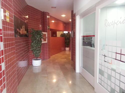 un pasillo con paredes de ladrillo rojo y una maceta en Apartamentos Aixa II, en Caravaca de la Cruz