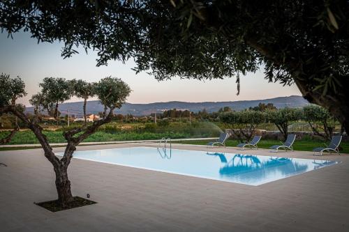 a swimming pool with two chairs and a tree at Quinta das Oliveiras Turismo Rural in Fundão