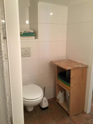 a small bathroom with a toilet and a table at Wienerstrasse 3 in Gumpoldskirchen