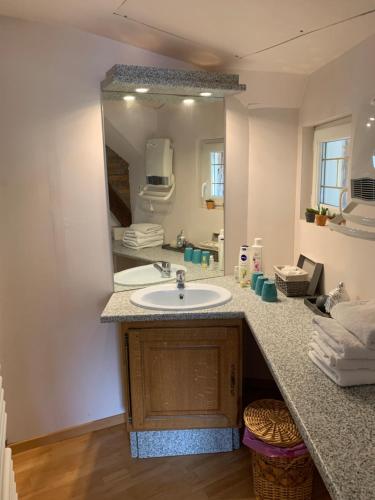 La salle de bains est pourvue d'un lavabo et d'un grand miroir. dans l'établissement Manoir de la Vente de Rouville, à Mesnil-Raoul