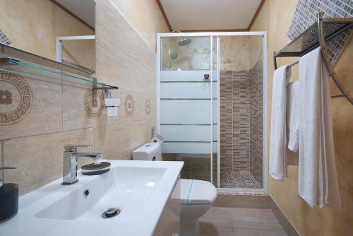 a bathroom with a sink and a toilet and a shower at Portile Ocnei in Târgu Ocna