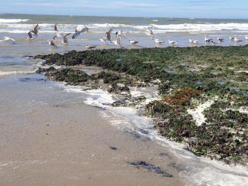 Gallery image of 1 room studio with wonderful view in Den Helder