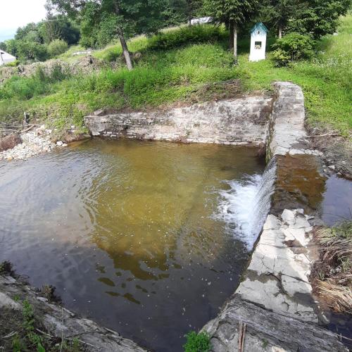 a small pond of water with a house in the background at EkoTurystyka Natura Gwiazd - Green Velo - Workation Park - Ziołowy Klimat Bieszczad in Dubiecko