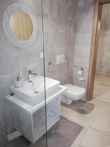 a bathroom with a sink and a toilet and a mirror at Grey Residence Apartament in Târgu-Mureş