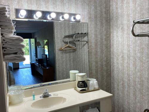 a bathroom with a sink and a mirror at Riverfront Lodge in Burkesville