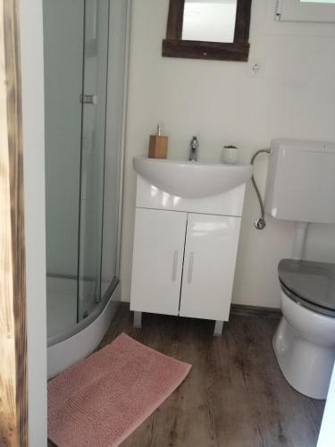a bathroom with a sink and a shower and a toilet at Skalca in Kamniška Bistrica
