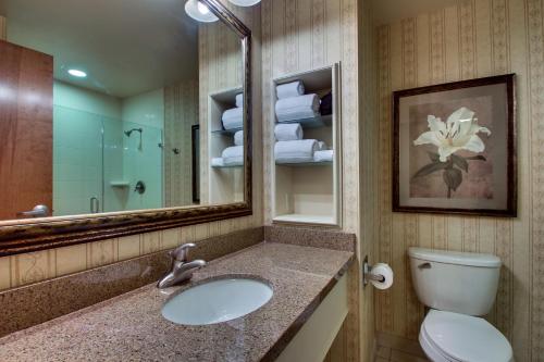 a bathroom with a sink and a mirror and a toilet at The Inn at Charles Town / Hollywood Casino in Charles Town