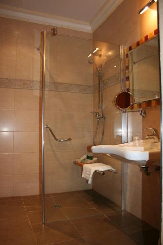 a bathroom with a shower and a sink at Hotel Palacio de la Magdalena in Soto del Barco
