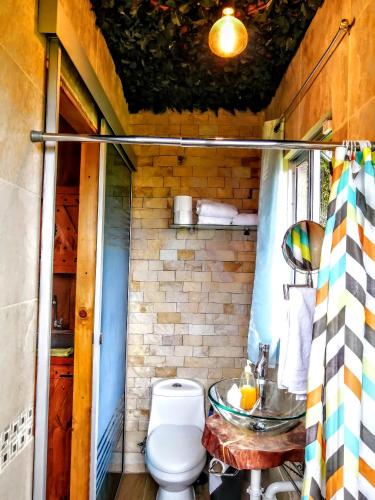 a bathroom with a toilet and a sink at Cabaña Mountain View in Heredia