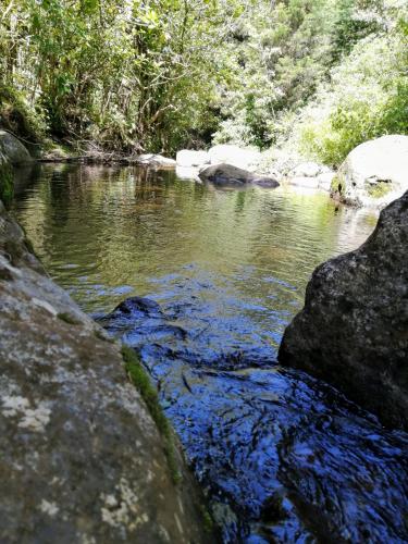 a river with rocks in the middle of it at Cabaña Mountain View in Heredia