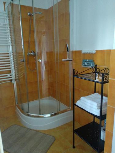 y baño con ducha y puerta de cristal. en Apartamenty Las i Woda, en Mezowo