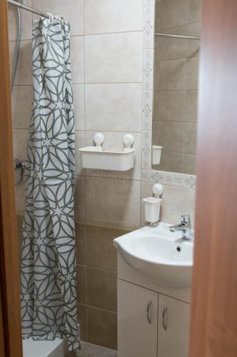 a bathroom with a sink and a shower curtain at Agroturystyka Szalejów 117 in Szalejów Górny