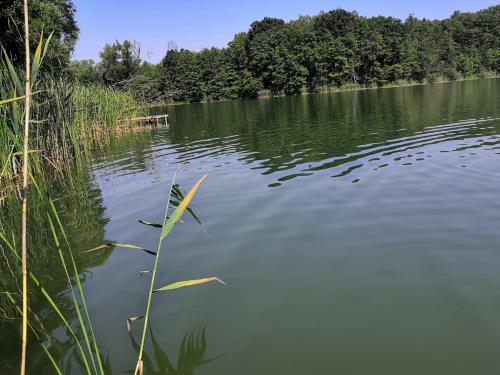 Naturlandschaft in der Nähe des Ferienhauses