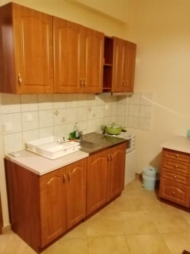 a kitchen with wooden cabinets and a sink at Dolphins DreamHouse in Agios Ioannis Pelio