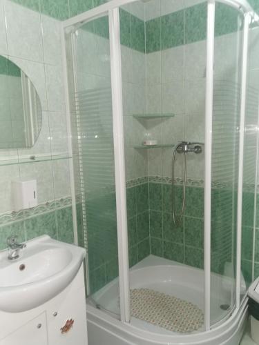 a bathroom with a shower and a sink at Czerwonki Apartament in Mrągowo